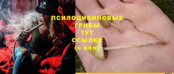 гашишное масло Дмитриев