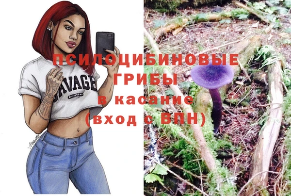 spice Дмитровск