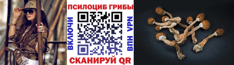 Галлюциногенные грибы Magic Shrooms  закладка  Оренбург 